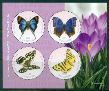 Gambia-2018-Insects-African-Butterflies-MS-MUH_1