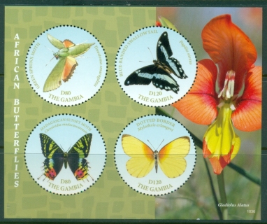 Gambia-2018-Insects-African-Butterflies-MS-MUH_2