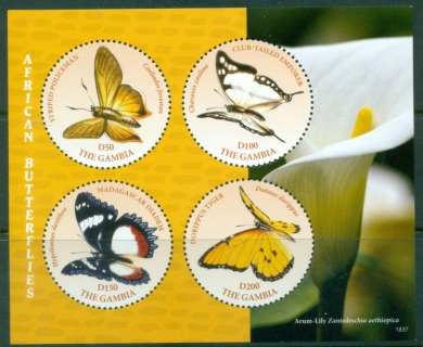 Gambia-2018-Insects-African-Butterflies-MS-MUH_3