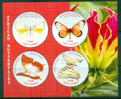 Gambia-2018-Insects-African-Butterflies-MS-MUH_4