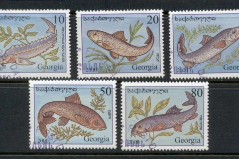 Georgia-2000-Fish-CTO