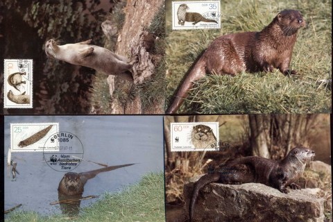 Germany-DDR-1987 WWF European Otter 4xMaxicard