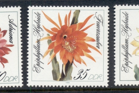 Germany-DDR-1989-Flowering-Cacti-MUH