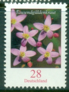 Germany-2014-Flowers-28c-European-Centaury-MUH