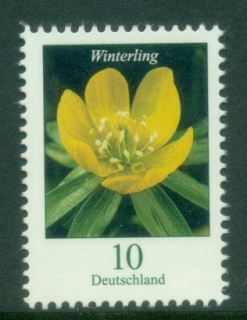 Germany-2017-Flora-Flowers-Eranthis-MUH