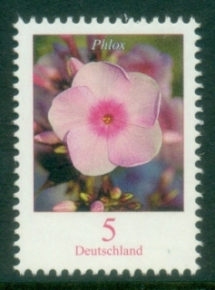 Germany-2017-Flora-Flowers-Phlox-MUH