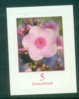 Germany-2017-Flora-Flowers-Phlox-PS-MUH