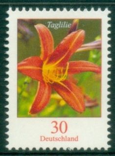 Germany-2020-Flowers-Tiger-Daylily-MUH