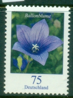 Germany-2011-Flowers-75c-Platycodon-grandiflorus-MUH