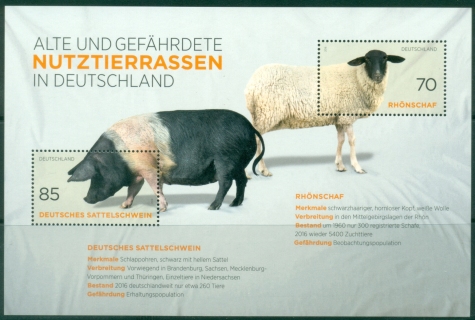 Germany-2016-Old-and-Endangered-Breeds-in-Germany-MS-MUH