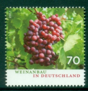 Germany-2017-Wine-Production-in-Germany-MUH