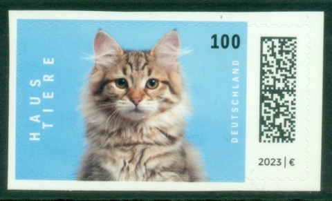 Germany-2023-Fauna-Cats-PS-MUH
