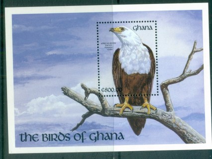 Ghana-1991-Birds