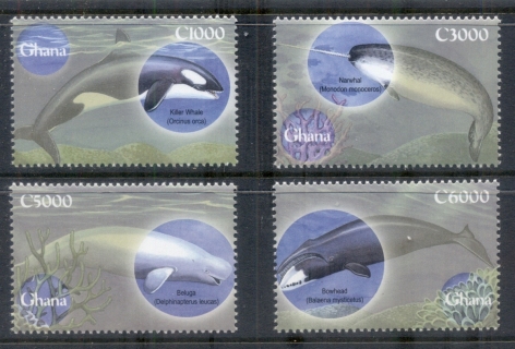 Ghana-2001-The-World-of-Whales-MUH