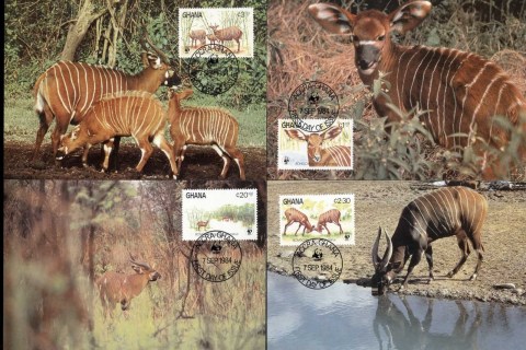 Ghana-1984 WWF Bongo 4xMaxicard