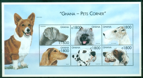 Ghana-2000-Pets-Corner-Dogs-MS-MUH_1