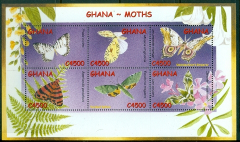 Ghana-2002-Insects-Moths-MS-MUH_1