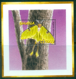 Ghana-2002-Insects-Moths-MS-MUH_2
