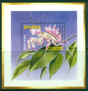 Ghana-2002-Insects-Moths-MS-MUH_3