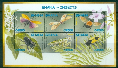 Ghana-2002-Insects-Moths-MS-MUH_4