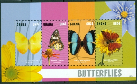 Ghana-2015-Insects-Butterflies-MS-MUH_1