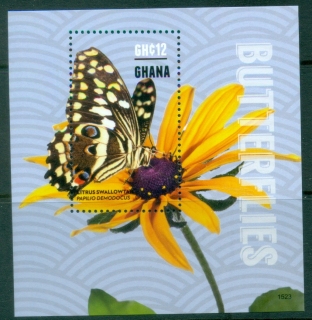 Ghana-2015-Insects-Butterflies-MS-MUH_2
