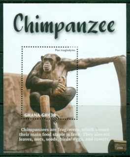 Ghana-2023-Chimpanzee-MS-MUH