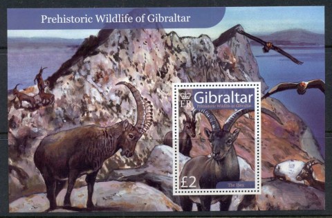 Gibraltar-2007-Prehistoric-Wildlife-MS-MUH