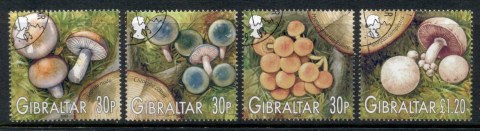 Gibraltar-2003-Funghi