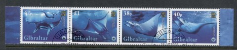 Gibraltar-2006-Marine-Life-Giant-Devil-Ray-CTO