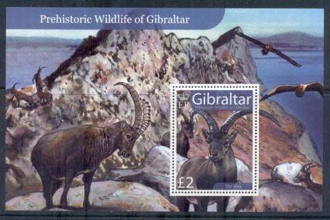 Gibraltar-2007-Prehistoric-Wildlife-MS-MUH