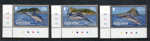 Gibraltar-2014-Dolphins-MUH