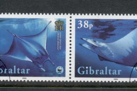 Gibraltar-2006-Marine-Life-Giant-Devil-Ray-CTO