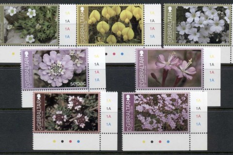 Gibraltar-2014-Flowers-MUH