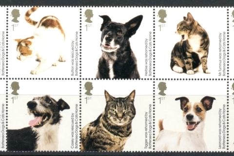 GB-2010-Battersea-Dogs-Cats-Home-MUH