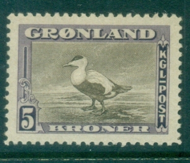 Greenland-1945-Eider Duck