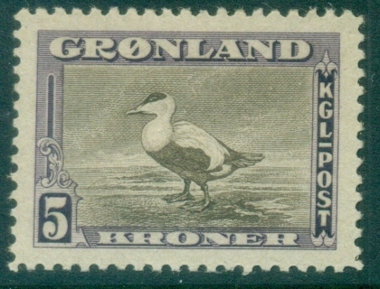 Greenland-1945-Eider Duck