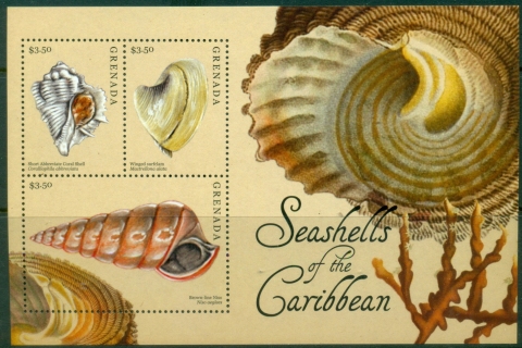 Grenada-2013-Seashells-of-the-Caribbean-Muh_2 Grenada-2013-Seashells-of-the-Caribbean-Muh_2