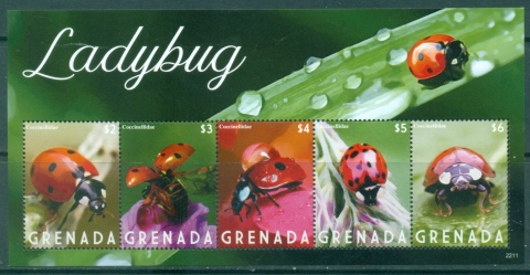 Grenada-2022-Insects-MS-MUH_1 Grenada-2022-Insects-MS-MUH_1