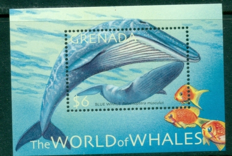 Grenada-2001-Whales-Dolphins-MS-MUH_4