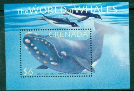 Grenada-2001-Whales-Dolphins-MS-MUH_5