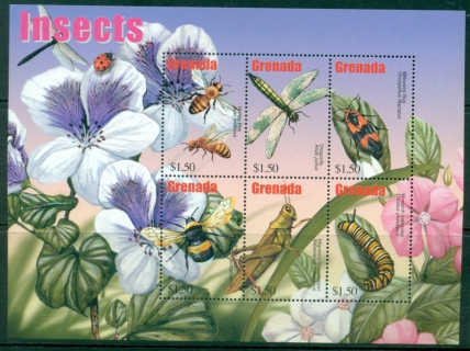 Grenada-2002-Insects-MS-MUH_1