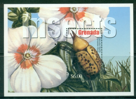 Grenada-2002-Insects-MS-MUH_2