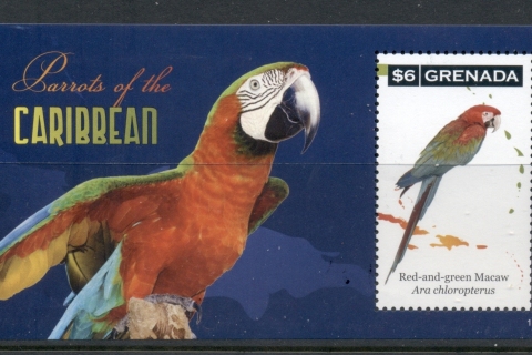 Grenada-2011-Birds