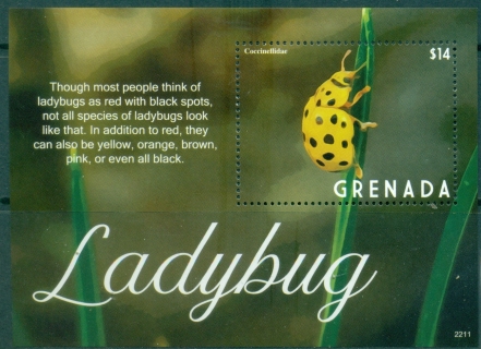 Grenada-2022-Insects-MS-MUH_2