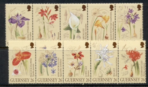 Guernsey-2000-Flowers-in-Candice-Gardens-MUH