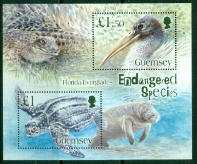 Guernsey-2006-Endangered-Species-Florida-Everglades-MS-MUH Guernsey-2006-Endangered-Species-Florida-Everglades-MS-MUH
