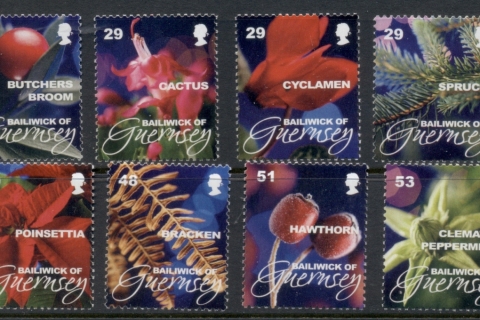 Guernsey-2008-Xmas-MUH