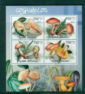 Guinea-Bissau-2012-Funghi