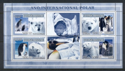 Guinea-Bissau-2007-International-Polar-year